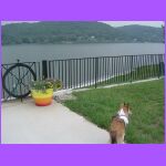 Belle On the Ohio River.jpg